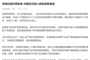时报：风电机组并网发电 中国AG庄闲驶入新能源新赛道
